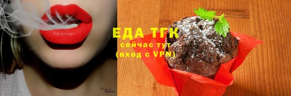 шишки Покачи