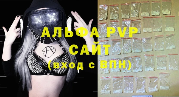шишки Покачи