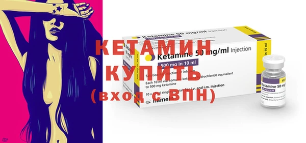 шишки Покачи
