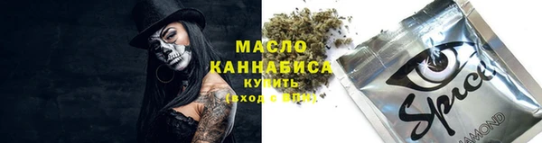 шишки Покачи
