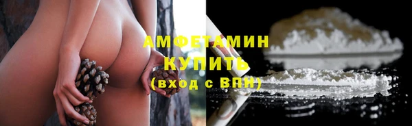 шишки Покачи