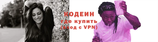 шишки Покачи