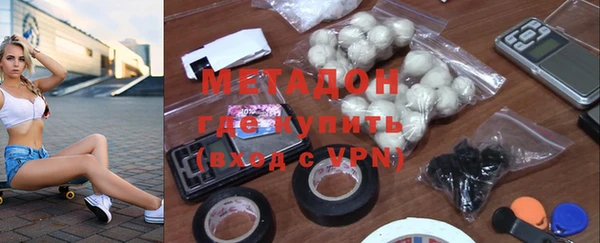 шишки Покачи