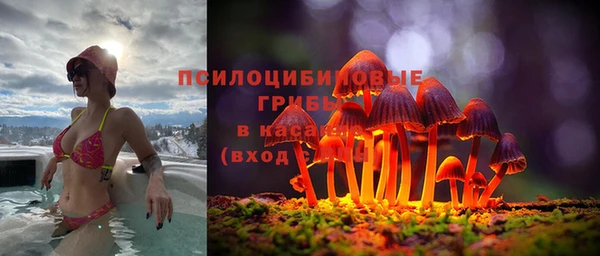 шишки Покачи