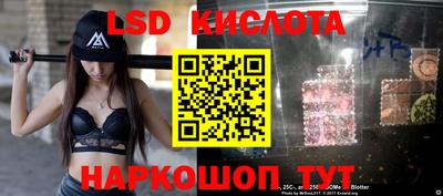 шишки Апшеронск