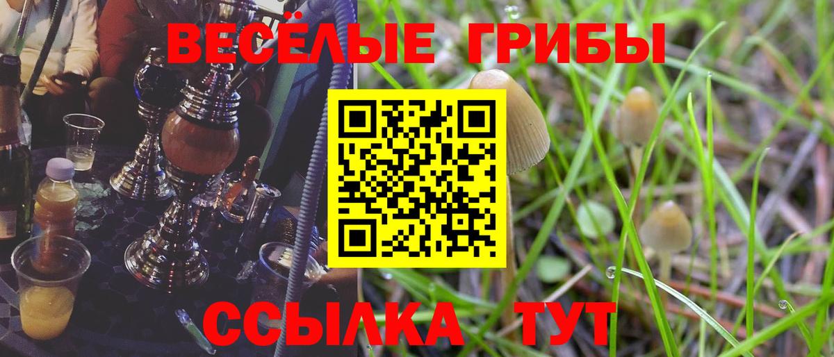 Псилоцибиновые грибы ЛСД Балашиха