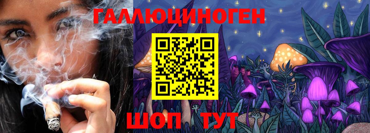 Псилоцибиновые грибы Psilocybine cubensis  Вход с VPN  Балашиха 