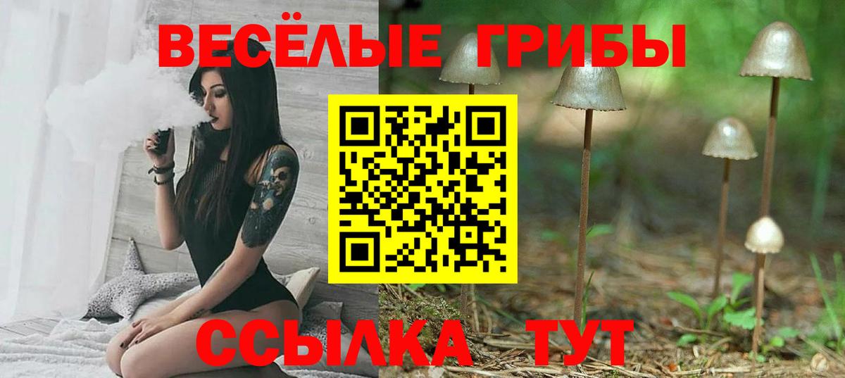 Галлюциногенные грибы Cubensis Балашиха