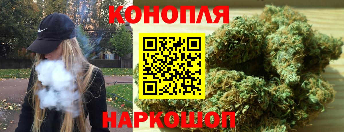 Бошки марихуана сатива  Канабис план  Балашиха  Вход с VPN 